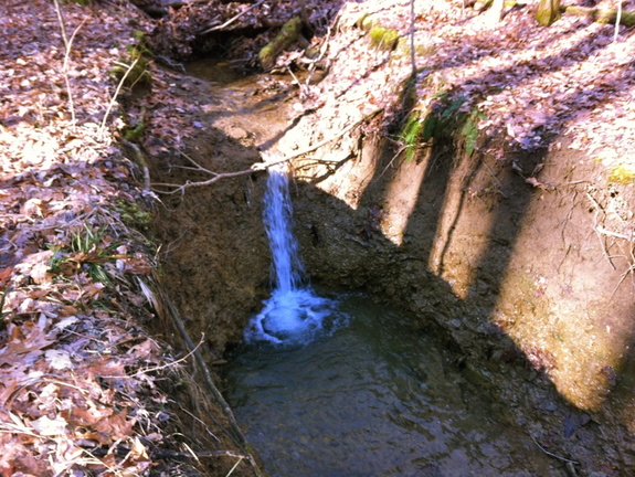 Buck Creek Trail - 3